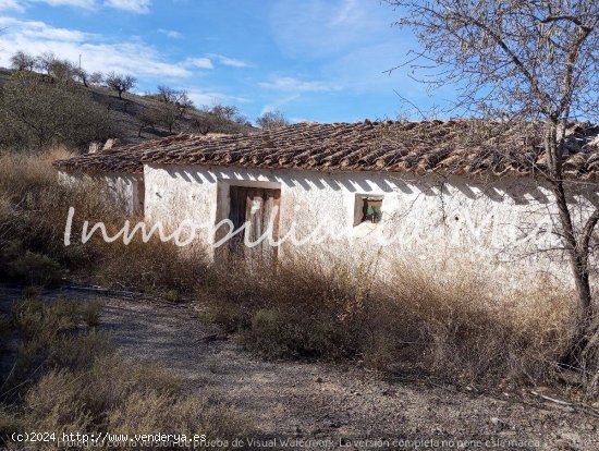 ESTUPENDA FINCA RUSTICA DE ALMENDRO Y OLIVOS LORCA