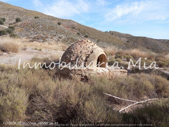 ESTUPENDA FINCA DE ALMENDROS Y OLIVOS EN VENTA LORCA