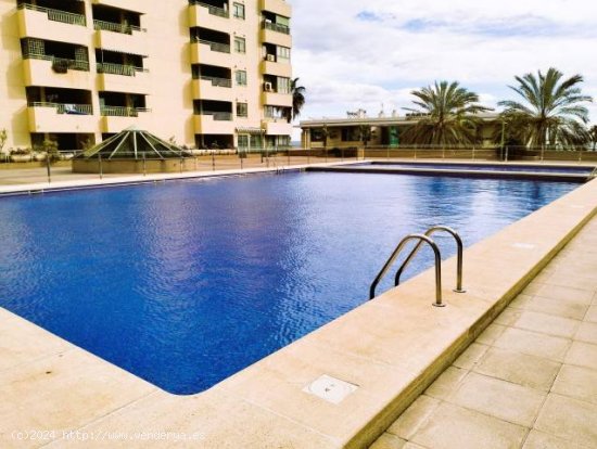  APARTAMENTO CON PISCINA EN MARE NOSTRUM, PATACONA 