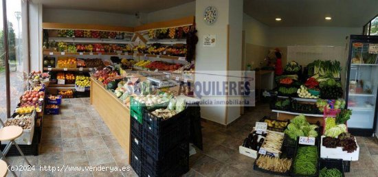 FRUTERIA EN FUNCIONAMIENTO EN BARAÑAIN