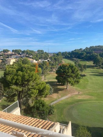 Bungalow con terraza soleada y piscina