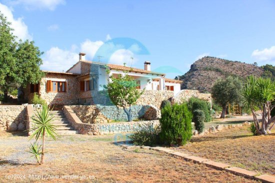  Se vende increíble finca rústica con inmejorables vistas en Son Termes 