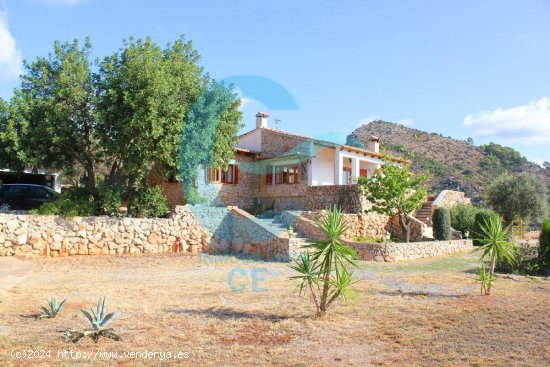 Se vende increíble finca rústica con inmejorables vistas en Son Termes