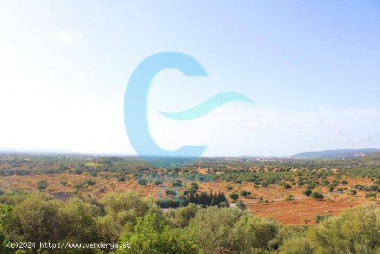 Se vende increíble finca rústica con inmejorables vistas en Son Termes