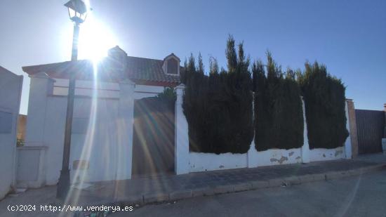  CASA  EN LA LUISIANA - SEVILLA 