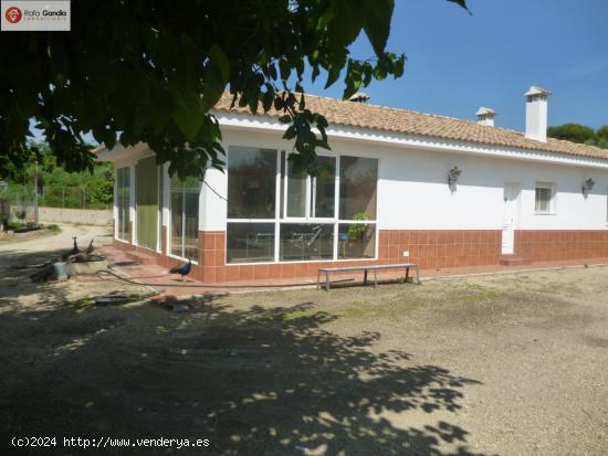  Chalet en zona El Pilar - Ontinyent - VALENCIA 