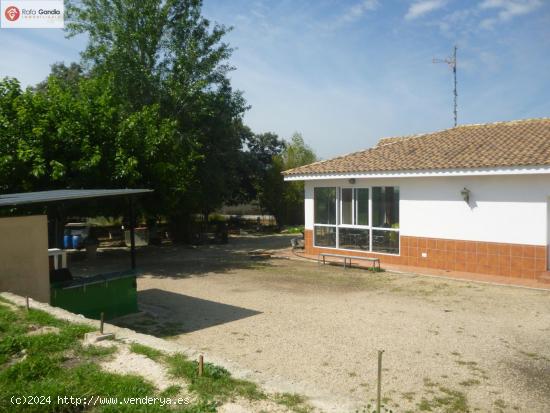 Chalet en zona El Pilar - Ontinyent - VALENCIA