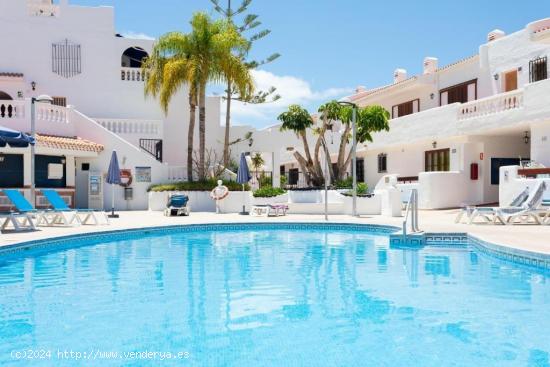 Los Cristianos. Piso 1 habitacion en complejo cerrado con piscina - SANTA CRUZ DE TENERIFE