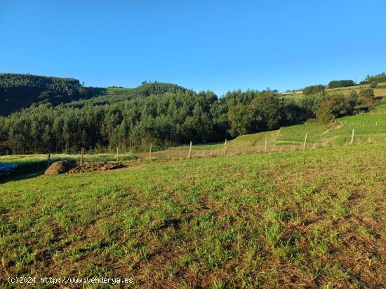  SE VENDE PARCELA URBANA EN MONCALIAN-BARCENA DE CICERO - CANTABRIA 