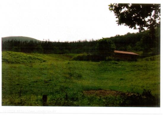 CABAÑA INDEPENDIENTE CON TERRENO EN RUENTE - CANTABRIA