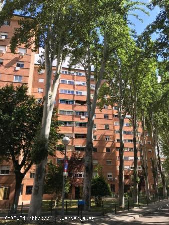 Se Vende en Torrejon de Ardoz - MADRID