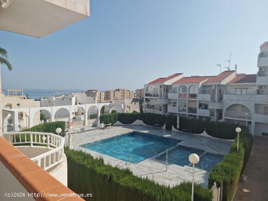  Alquiler de apartamento entre noviembre y mayo -Playa de la Mata - ALICANTE 