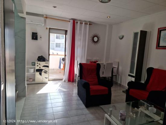 Alquiler de apartamento entre noviembre y mayo -Playa de la Mata - ALICANTE