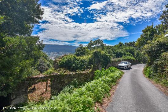 Finca de una hectárea con excelentes vistas - PONTEVEDRA