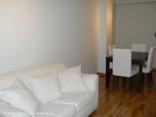 SE ALQUILA APARTAMENTO CENTRICO - MURCIA