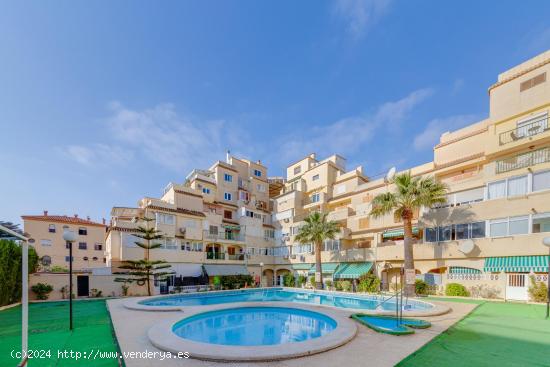  MODERNO APARTAMENTO CON PISCINA COMUNITARIA EN NUEVA TORREVIEJA - ALICANTE 