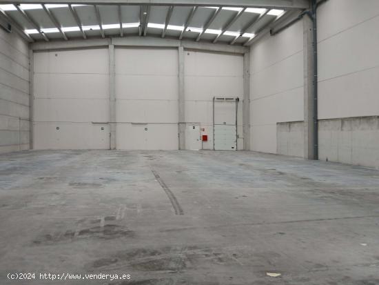 NAVE INDUSTRIAL EN ALQUILER EN ONTINYENT - AVENIDA PRINCIPAL - VALENCIA