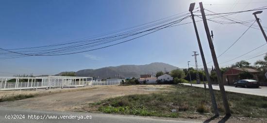 Parcela edificable en la huerta de Murcia – Camino Viejo de Orihuela - MURCIA