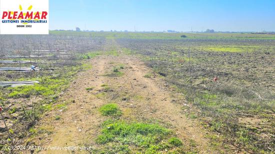 TERRENO RUSTICO EN PAGO POZO RINCONES - CADIZ