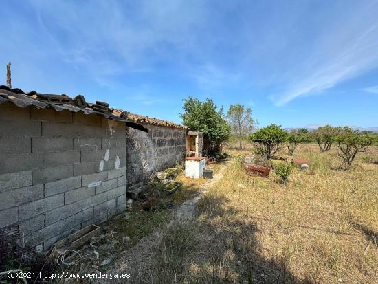  FINCA RÚSTICA ENTRE LLUBI Y MURO - BALEARES 