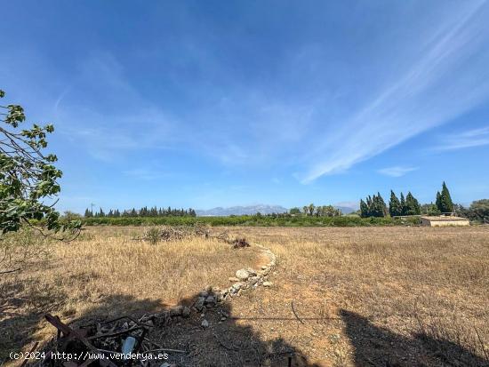 FINCA RÚSTICA ENTRE LLUBI Y MURO - BALEARES