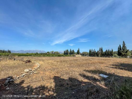 FINCA RÚSTICA ENTRE LLUBI Y MURO - BALEARES