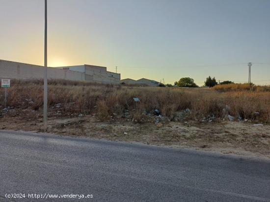 TERRENO EN LA ZONA DE LA HUERTA ROSARIO - CADIZ