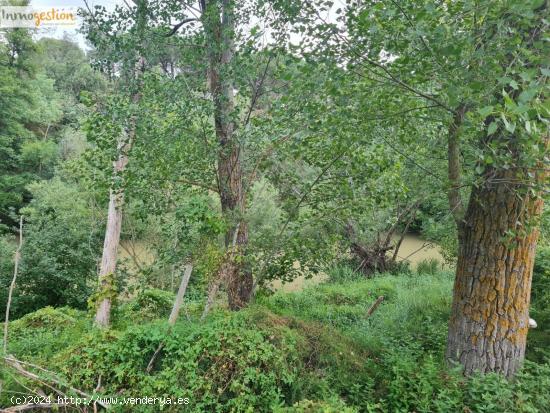 SE VENDE TERRENOS RUSTICOS EN TUDELA DE DUERO - VALLADOLID