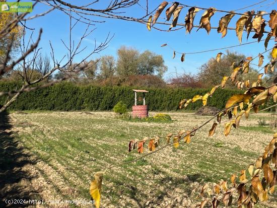 FINCA CON VIVIENDA DE 2 DORMITORIOS Y PISCINA - BURGOS