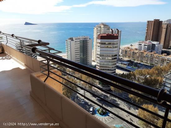 Rebajado - Piso de Lujo en playa levante, Torre Benidorm www.inmobiliarialesdunes.com - ALICANTE