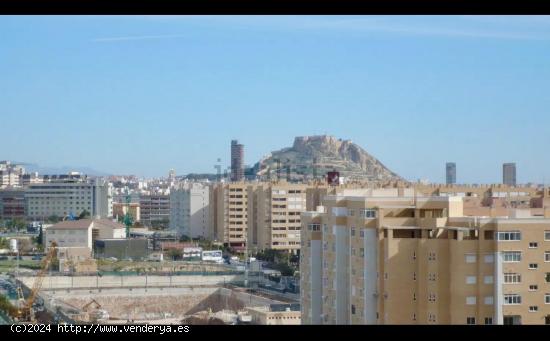 ALQUILER DE EXCELENTE VIVIENDA ZONA SAN GABRIEL EN URBANIZACION - ALICANTE