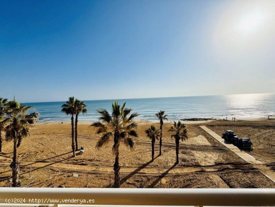 Apartamento en venta en Torrevieja (Alicante)