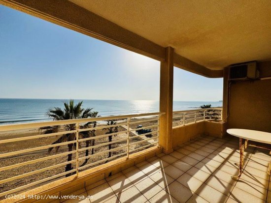 Apartamento en venta en Torrevieja (Alicante)