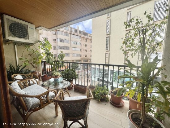  Apartamento en alquiler en Palma de Mallorca (Baleares) 