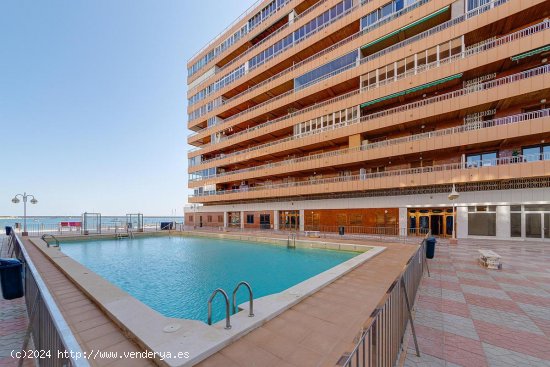 Apartamento en venta en Torrevieja (Alicante)