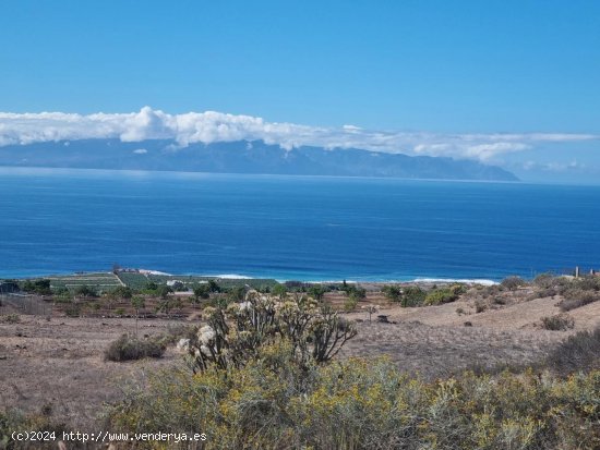 Finca en venta en Guía de Isora (Tenerife)