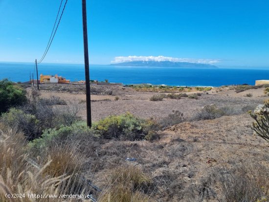 Finca en venta en Guía de Isora (Tenerife)