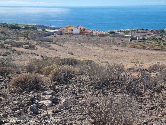 Finca en venta en Guía de Isora (Tenerife)