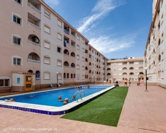  Apartamento en venta en Torrevieja (Alicante) 