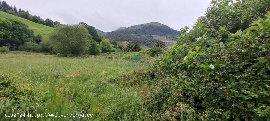 Se vende terreno urbano en Limpias - CANTABRIA