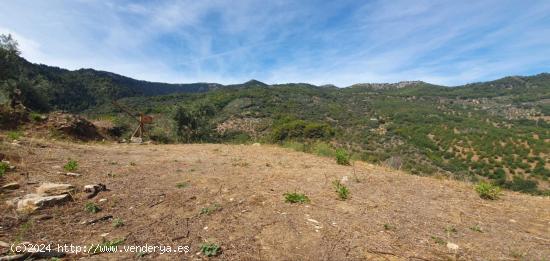 Finca rústica en Parque Nacional Sierra de las Nieves - MALAGA