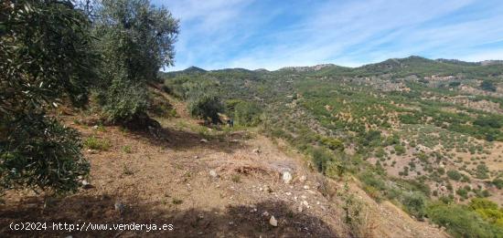 Finca rústica en Parque Nacional Sierra de las Nieves - MALAGA