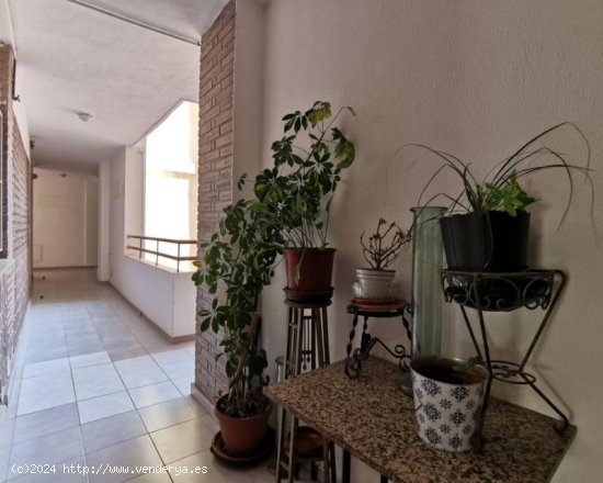 Apartamento en venta en Torrevieja (Alicante)