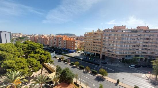 Amplia vivienda en la zona de Altozano. - ALICANTE