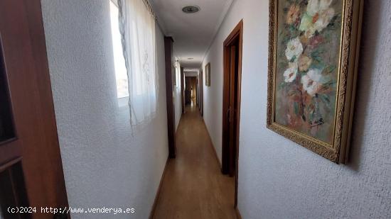 Amplia vivienda en la zona de Altozano. - ALICANTE