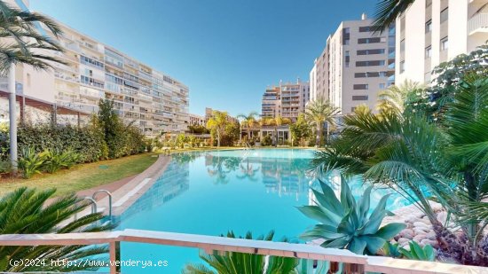 Apartamento en venta en Alicante (Alicante)