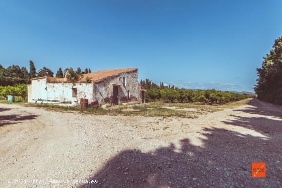 FINCA EN PLENA PRODUCCIÓN EN ROQUETES - TARRAGONA