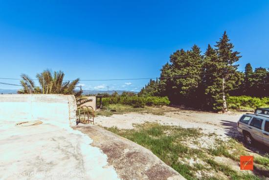 FINCA EN PLENA PRODUCCIÓN EN ROQUETES - TARRAGONA