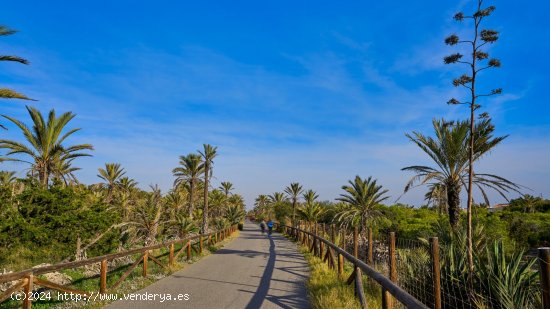 Parcela en venta a estrenar en Guardamar del Segura (Alicante)