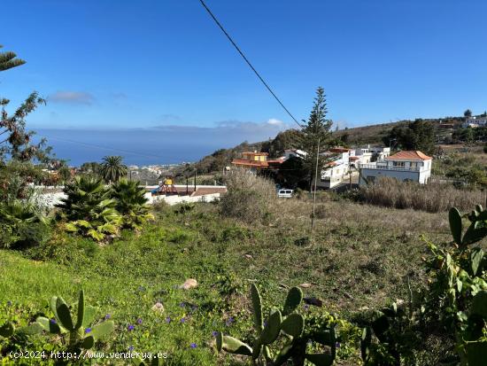 TERRENO URBANIZABLE FIRGAS - LAS PALMAS